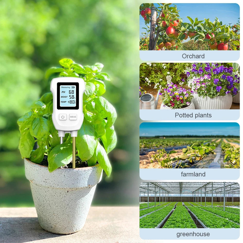 Healthy plants growing in a garden with the Yieryi soil pH meter placed nearby
