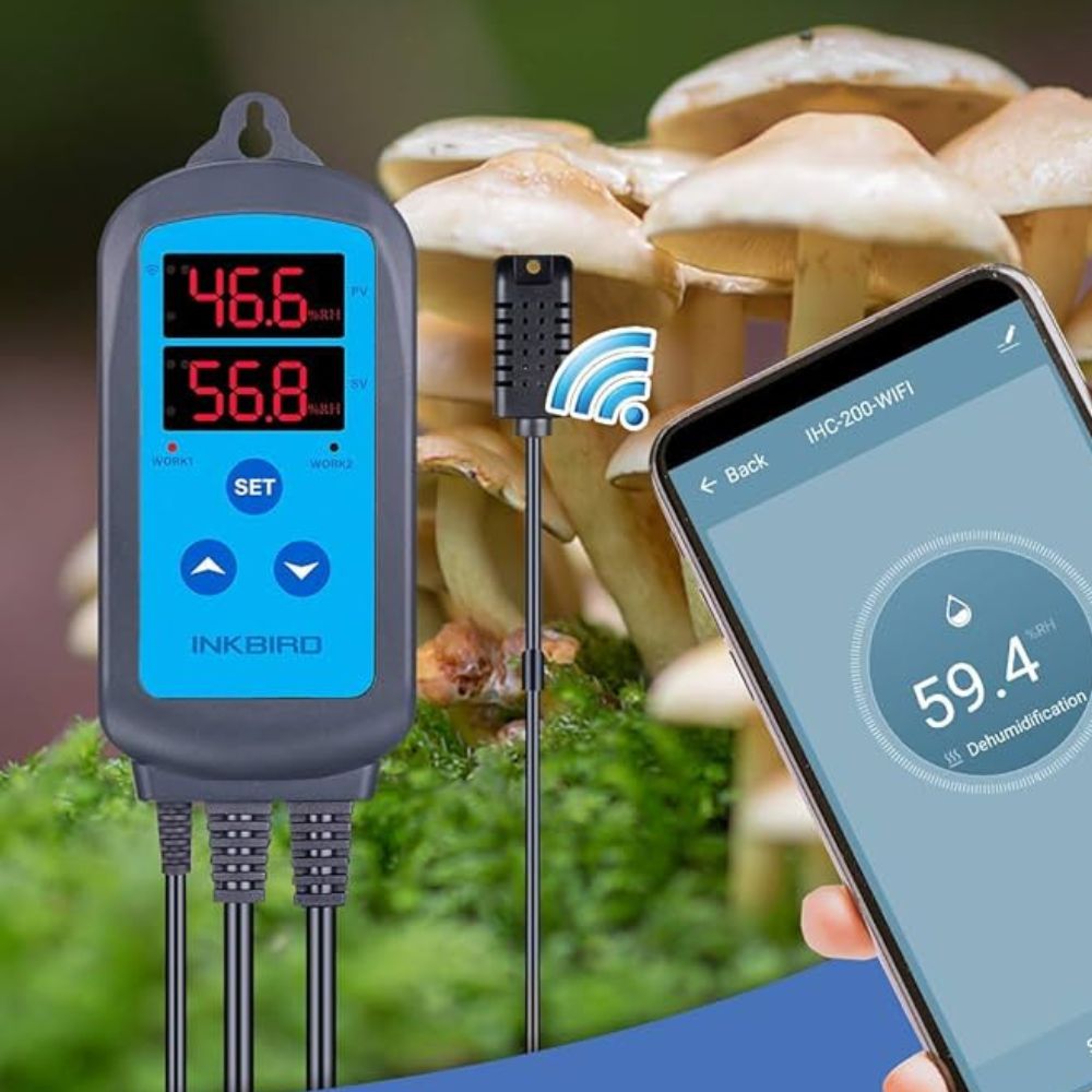 INKBIRD IHC-200-WIFI WiFi humidity controller in use for mushroom cultivation fruiting chamber — automatic humidification and dehumidification control for grow room RH management