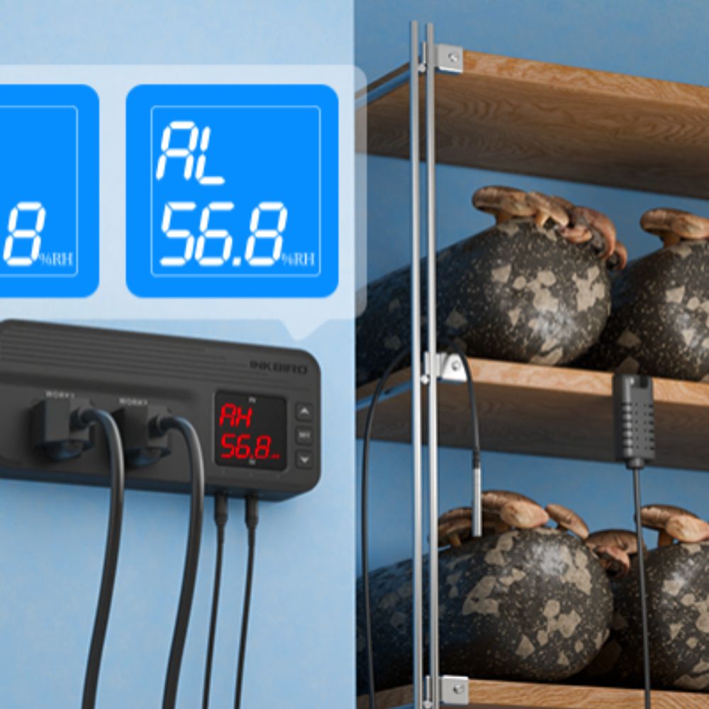INKBIRD ITC-608T combined temperature and humidity controller in use for mushroom cultivation room climate control — automatic heating, cooling, humidification and dehumidification via four independent relay outputs